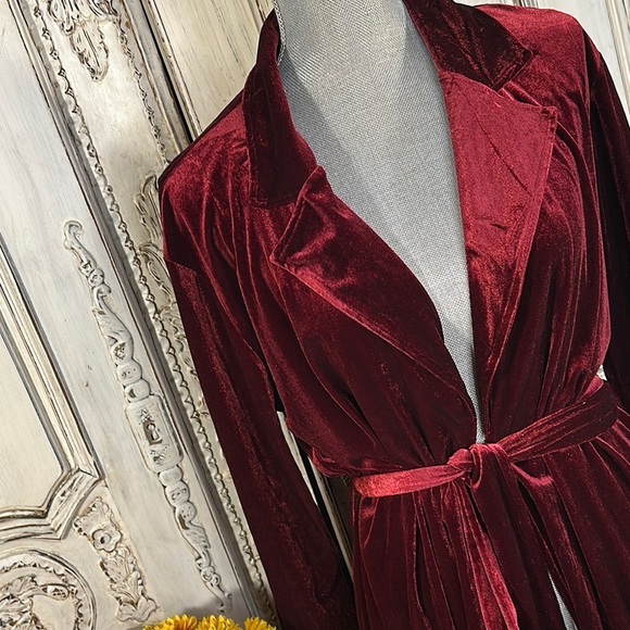 Elegant Velvet Robe in Rich Red Outer Wear or Lounging - Picture 4 of 13